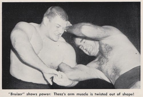 Bruiser and Thesz