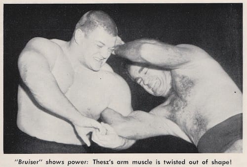 Bruiser And Thesz