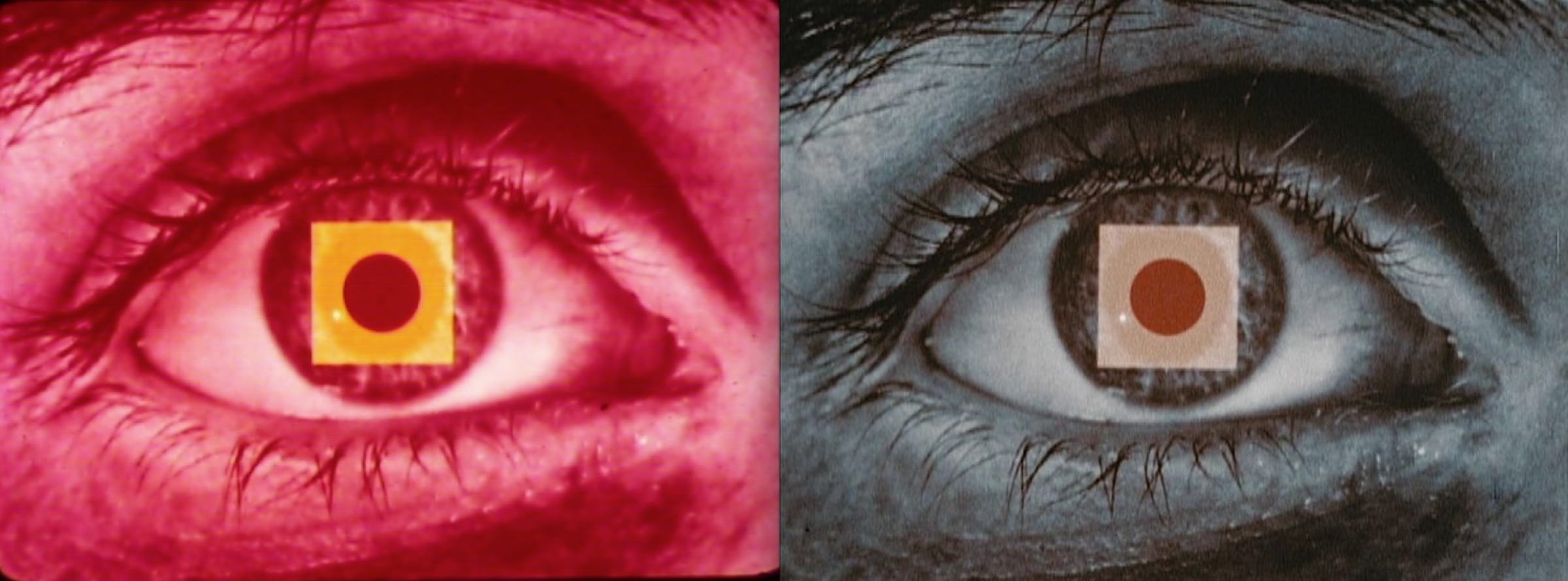 Faces And Fortunes 10 Web